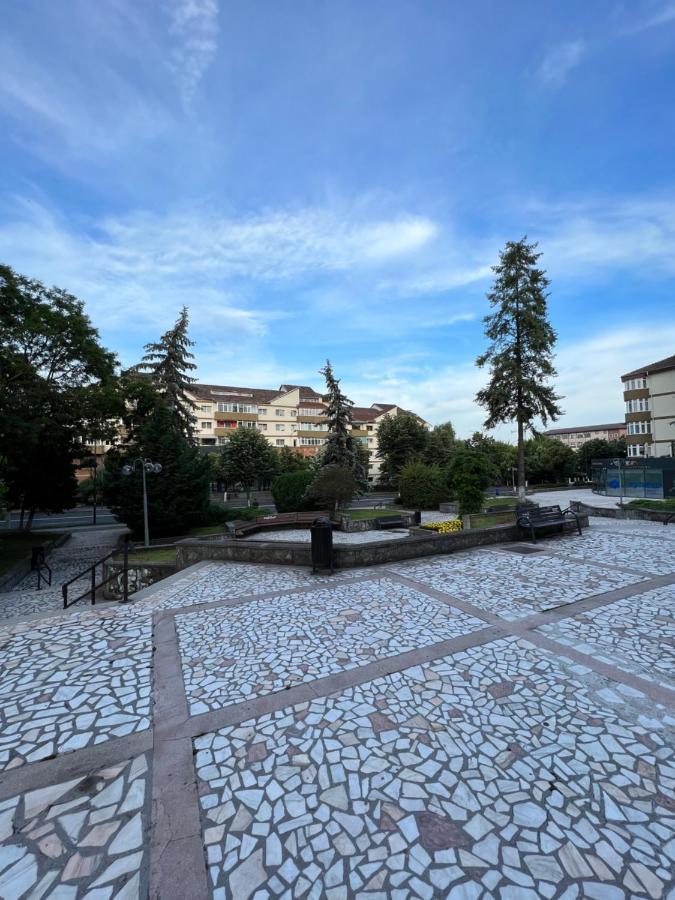 Apartament Centru Râmnicu Vâlcea Exteriör bild